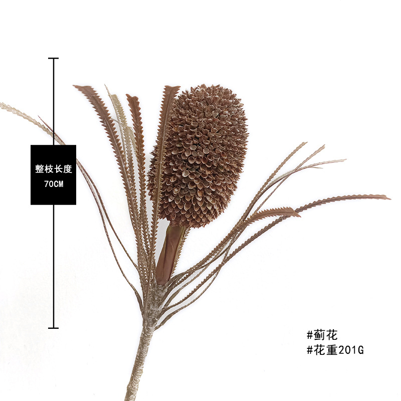 커피