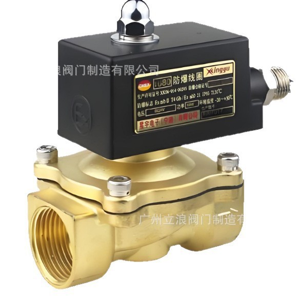 厂家直销优质防爆电磁阀B2W