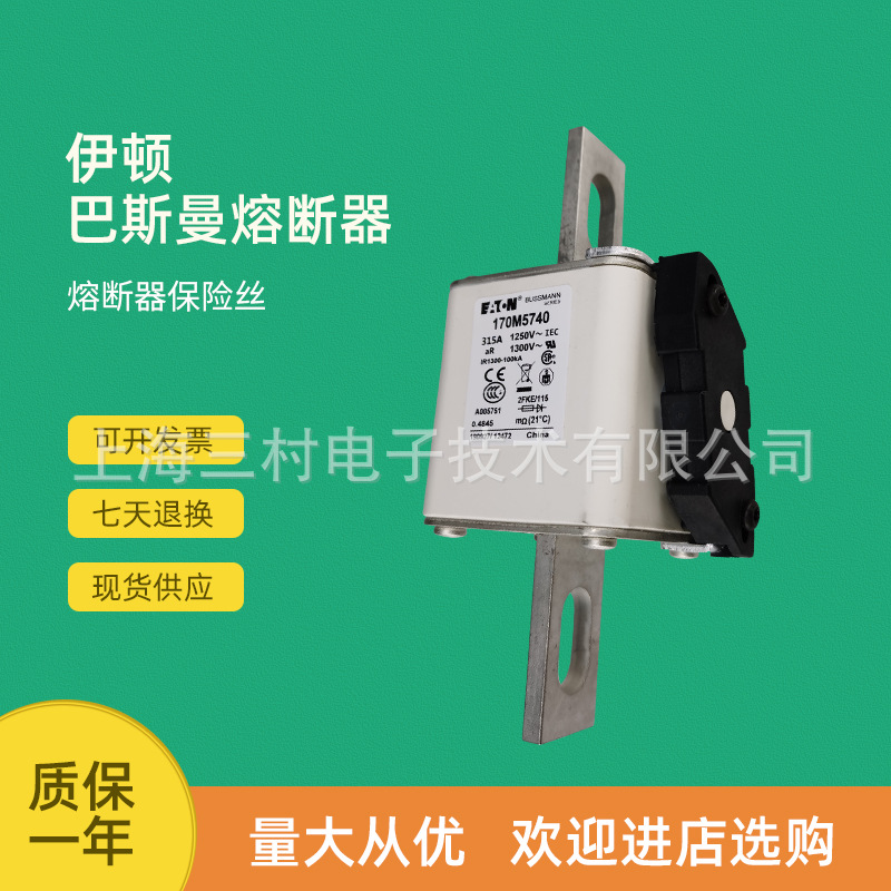 全新原装快速熔断器保险丝170M5711 170M5712 170M5713 170M5714