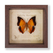 ������˱���� �Wʽ�ֹ��Ҿߔ[���Ʒ�ڒ��diy���նY���Ʒ�YƷ