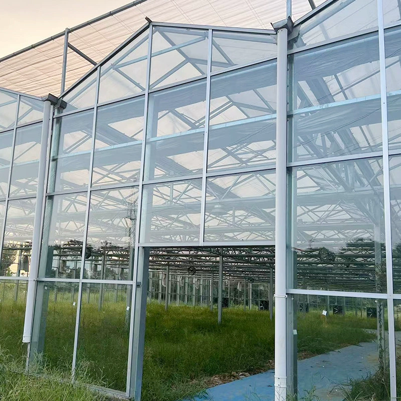 Стеклянная теплица интеллектуальная теплица цветочная теплица