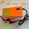 Charger Battery Charger Constant 12.6V6A By National security regulations Authenticate