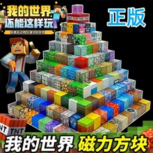跨境MC我的世界磁力方块积木儿童益智玩具3D立体百变拼搭游戏礼物