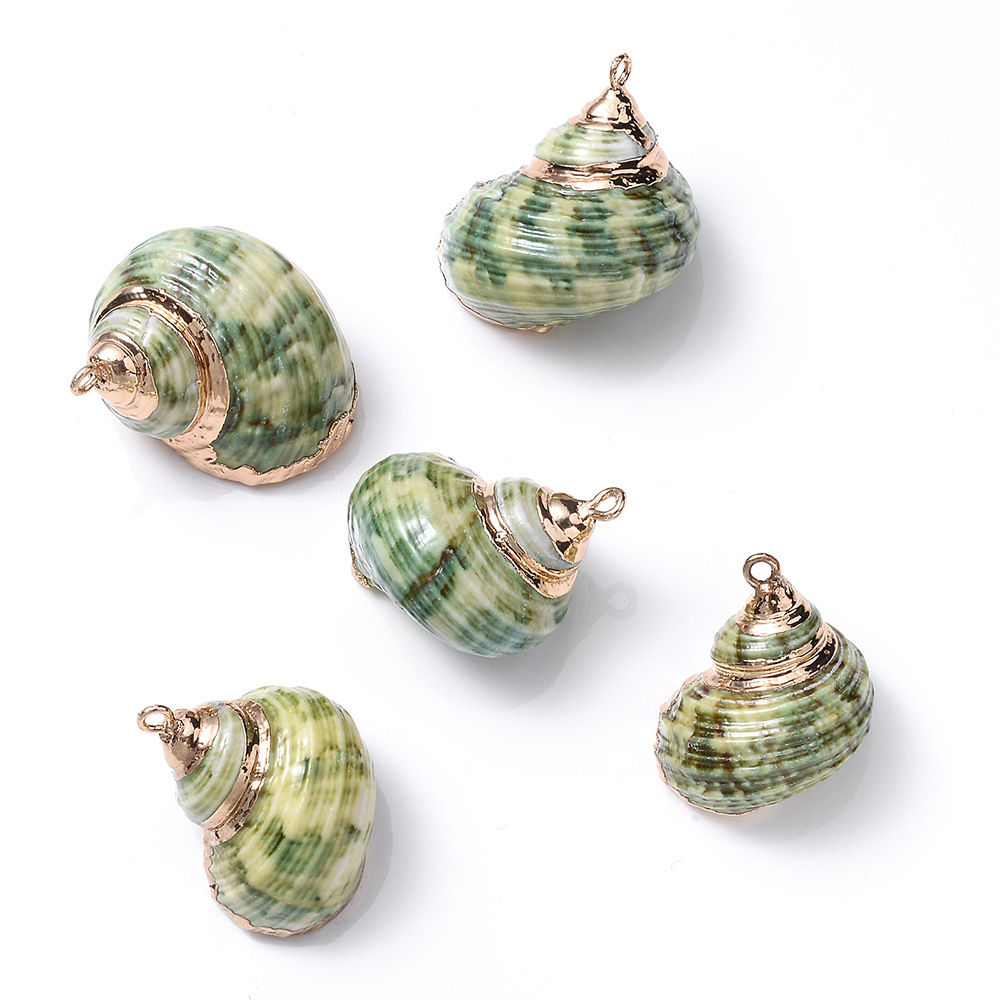 5 PCS/Package Shell Conch Shell Pendant display picture 5