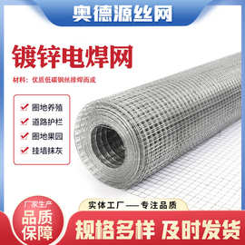 定制加工电焊网热镀锌铁丝网养殖防鼠网抹墙防爆网外墙保温方格网
