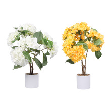 �羳���滨 �S�׽����մ����Ԕ[�O ��@С���»�c�F���b�