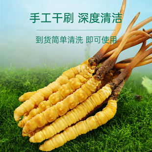 2026��ߺ����^���S�۾����SM�˹���ֲ�Bֳ���B��ˢ���r�x��