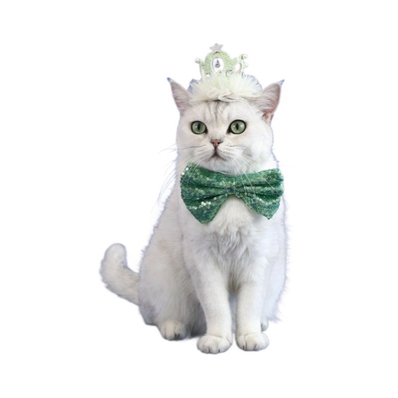Pet Crown Collar Set Lille Corbata Perla Princesa Fiesta Toads Gatos Perros Polvo de Cumpleaños image 6