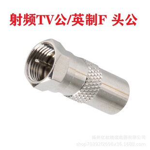 TV���^�DF���^ �C픺к���̖���B���^�����ҕ�Ñ������� RF�D��