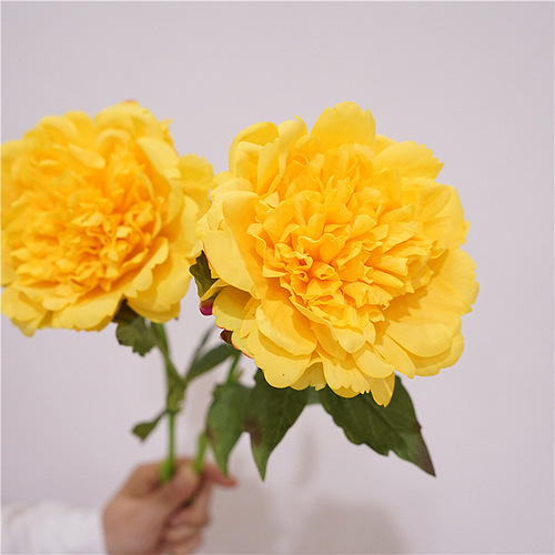European-style artificial flower single branch hand-feeling moisturizing peony flower home decoration flower arrangement ornaments bride bouquet wedding fake flower