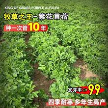 �ϻ���ޣ�N�Ӷ����������Bֳ���ݷN��ι�~���Z�u��ţ�~�ݲݷN