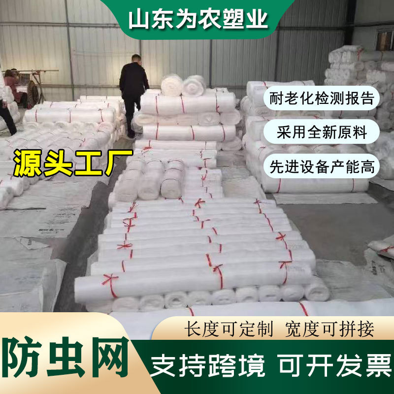 40 Mesh, 60 Mesh, 80 Mesh, 100 Mesh Insect-Proof Net, Cross-Border Foreign Trade Cut-To-Size Polyethylene Insect-Proof Net, Vegetable Greenhouse Net