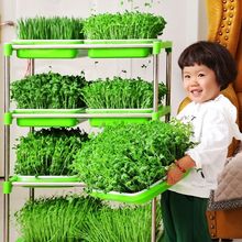 ˮ���߲�ѿ��˶�ѿ������P�lѿ�бP�����̨�N�˷Nֲ�P�o������