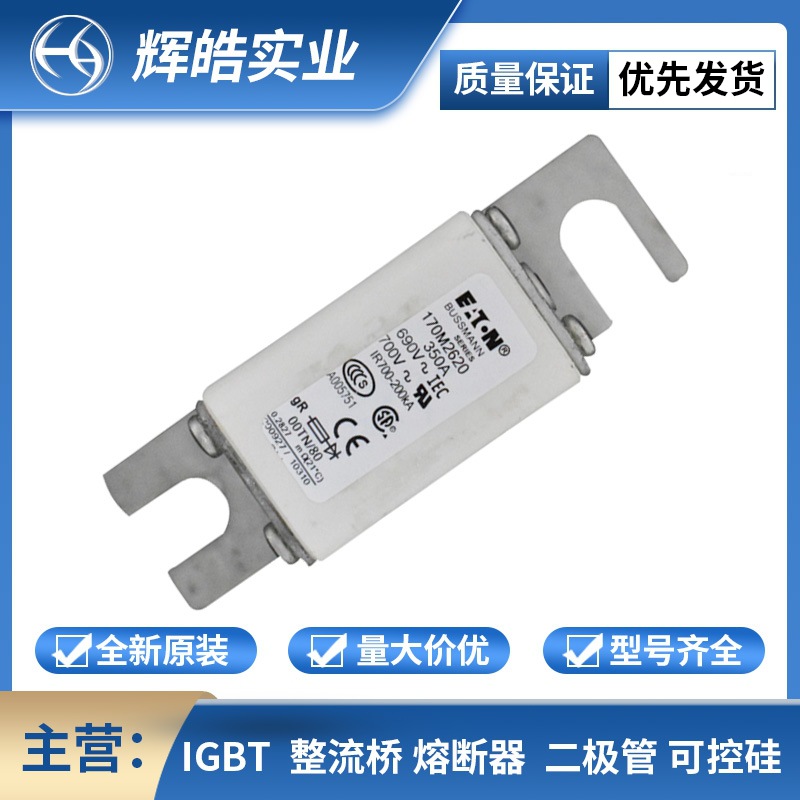 170M2620/170M2621/170M2665 低压快速熔断器新能源电子配件