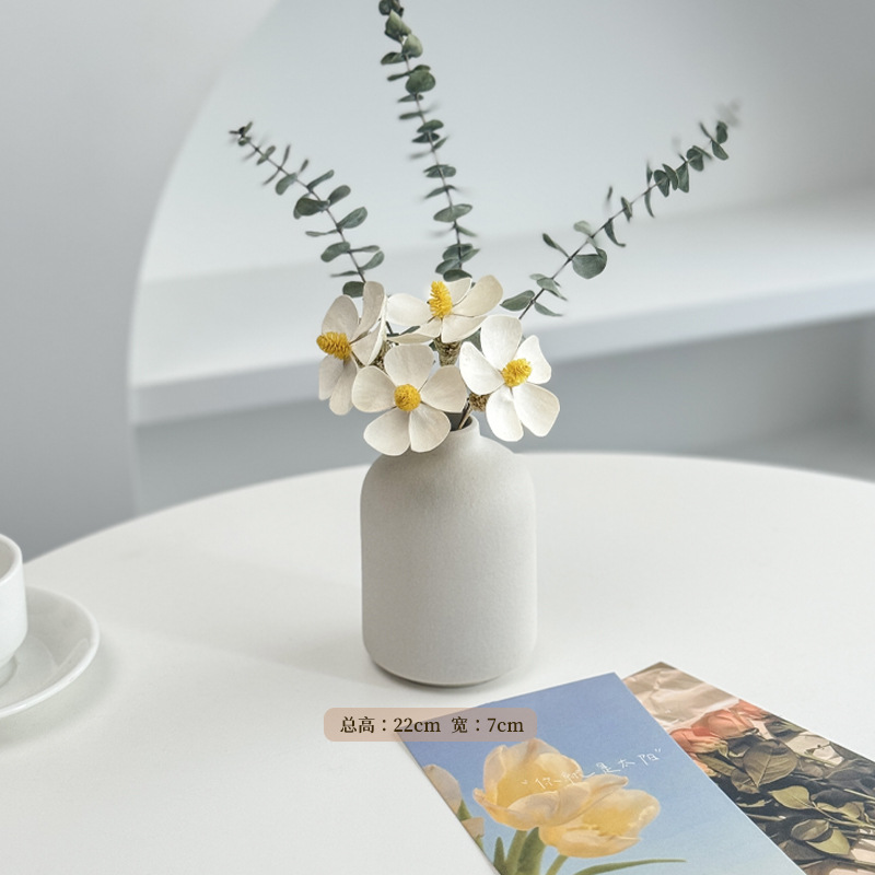 롤랜드 유칼립투스 [무료 흰색 꽃병 + 장식 카드 2장]