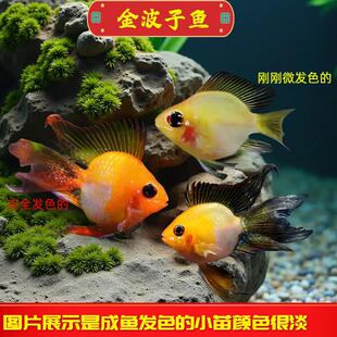 �����~�Ꭷ�^�~�p�~��ˮ�~�P���~���w��ˮС���~�ݸ׿ɻ��B���B