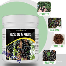 �w�����ÏͺϾ�ጷʘ������ЙC�ʹ���ٹ��䌚���ϠI�B�Ό����߻�