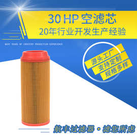 厂家供应滤芯PU胶单滤芯定制生产C14200规格30HP空空压机专用高效