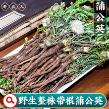 Ұ�������ѹ�Ӣ��ș�����r��؛���Ŷ�����ֹ�Ӣ���ꎧ���ݲ�ˮ��