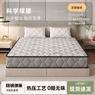 �غ񴲉|���Ǽ��Ƶꏗ�ɴ��|���z�o��Ҭ���o����������23cm�Ӻ�