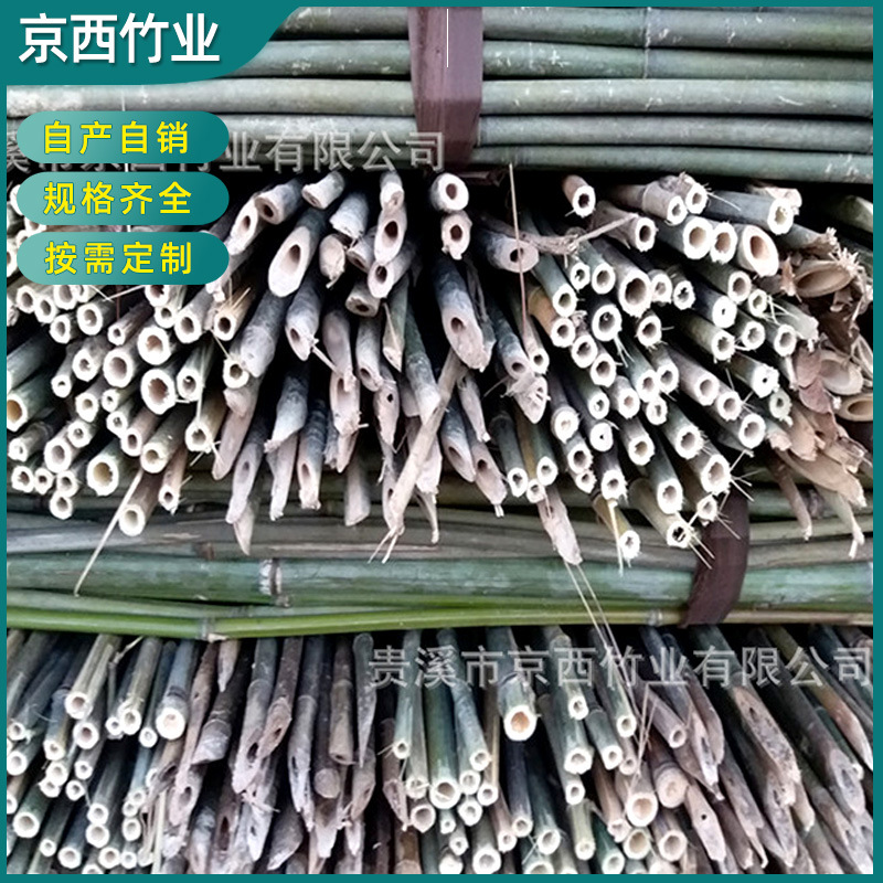 产地销售 2021年西北地区农用4米小竹竿 苹果树苗小竹竿