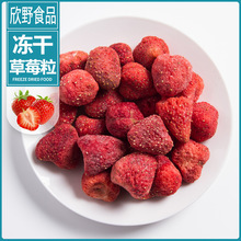 廠家直銷批發凍干草莓粒凍干水果塗層水果干散裝休閑零食烘焙原料