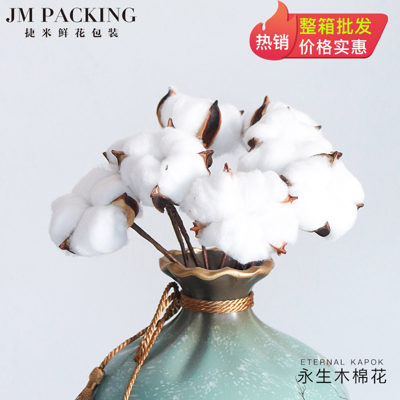 单支棉花田园乡村永生木棉花花束 室内装饰婚庆干花 永生花装饰