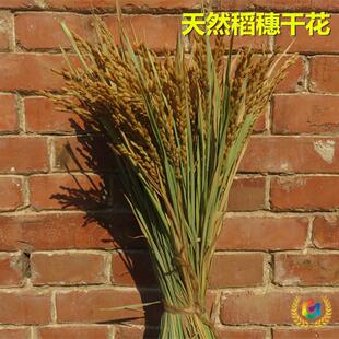 �����b� ��Ȼ�浾�ӵ��ȸɻ� �����r���ﲼ���S�չ��ĔzӰ����