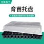 加厚多肉移植育苗托盘