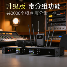 朗声无线话筒一拖二专业家庭KTV专用麦克风真分集调频舞台演出主