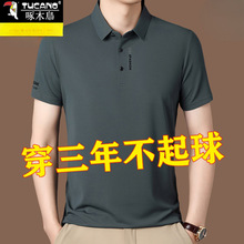 啄木鸟桑蚕丝短袖t恤男翻领纯色冰丝中年半袖POLO衫男士夏装上衣T