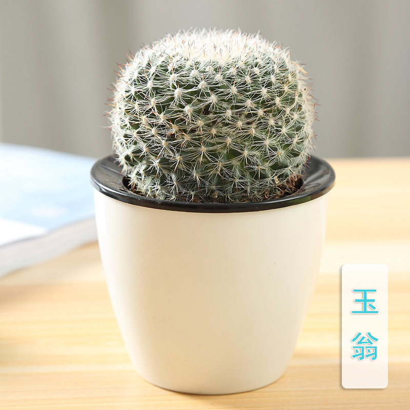 유웽(T2흡수분지)이 비료를 배달한다