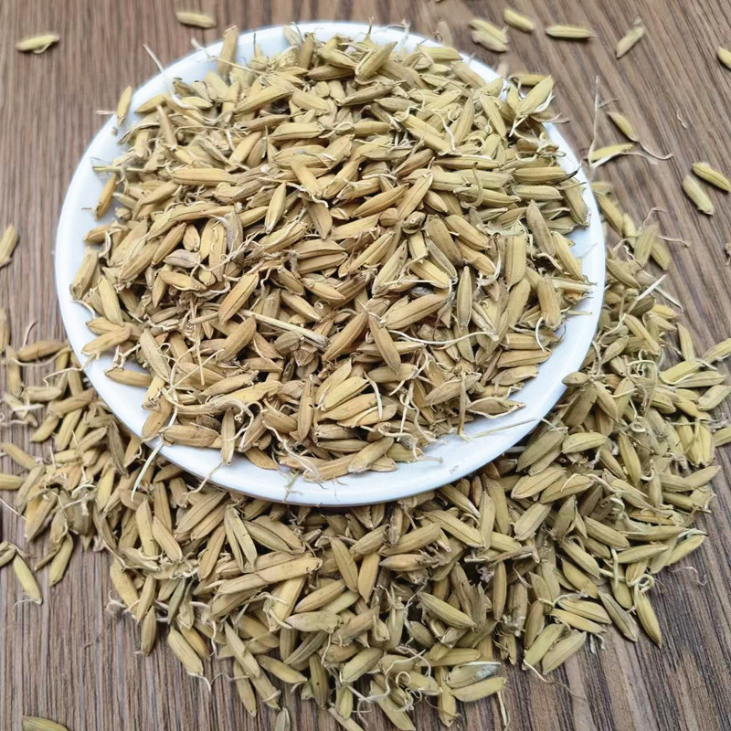 Dried Rice Sprout Dao Ya Whole Sprouted Grain Raw Herb for Decoction and Tea specifications