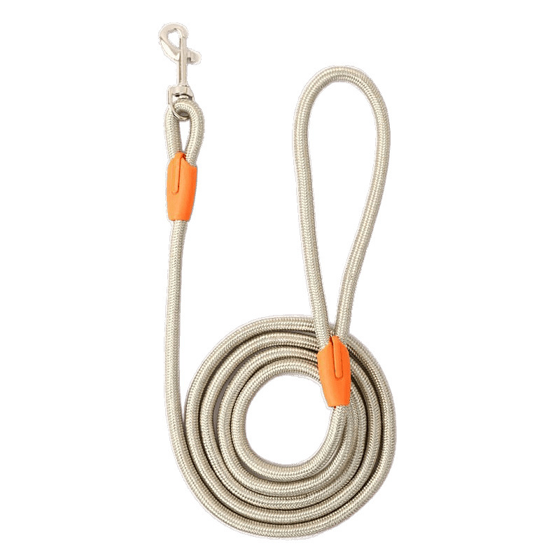 Smycz dla psa Teddy Golden Retriever, duża, średnia, mała, smycz dla szczeniaka, 2,3 m, przedłużona_voghion.com