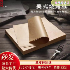 食品级烤箱烤盘烘烤烤肉烧烤专用圆形方形防粘加厚本色羊皮硅油纸