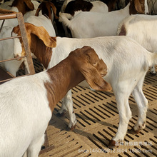 swСдĸ򼃷NaɽwBֳ