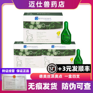 Paio Point French Demex Gold Point Dog Skin Drops Cat Dog Pet Skin Essential Oil