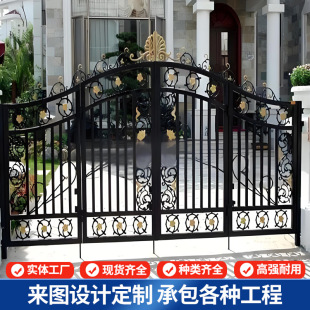 Custom European-Style Wrought Iron Double Doors for Villas, Courtyards, Factories, Schools, Residential Areas, and Rural Self-Built Houses