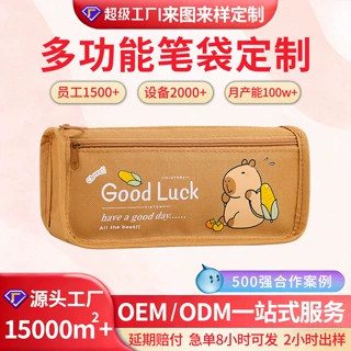哇噢定制韩版文具盒大容量笔袋小学生卡皮巴拉简约文具袋小众耐脏