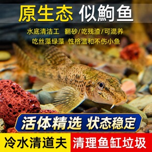 ���L�~�緭ɳ�~ԭ����ˮ��ˮ�^�p�~���~�����坍�����~�Bֳ�����B