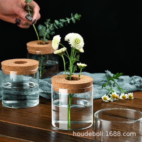 Creative glass vase decoration hydroponic plants multifunctional small vase simple green dill flowers ecological glass vase