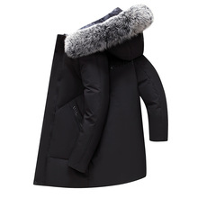 �Ž���q�������L���Ԫʿ����2025���b���������Z�Ӻ�߶�Ʒ�Ƴ�