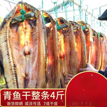 绍兴螺蛳青鱼干特产咸鱼干干货鱼干自制风干咸鱼整条干鱼腊鱼青鱼