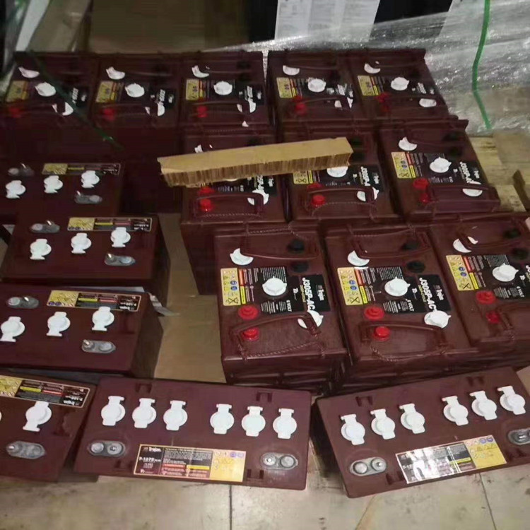 Trojan邱健蓄电池T105 AGM PRO 6V230AH 叉车 巡逻观光车用