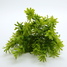 ����ٻ��Gֲ�����b����ϻ��ٲݸ���ֲ����7�������ջ���