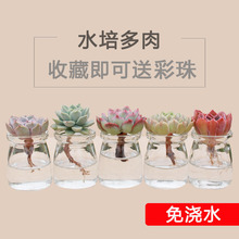 �ļ�����ˮ����¶��ɏ˯ɏ��ö���M���҃�������������ˮ�Bֲ��