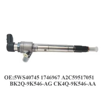 Diesel Common Rail Oil pump, nozzle