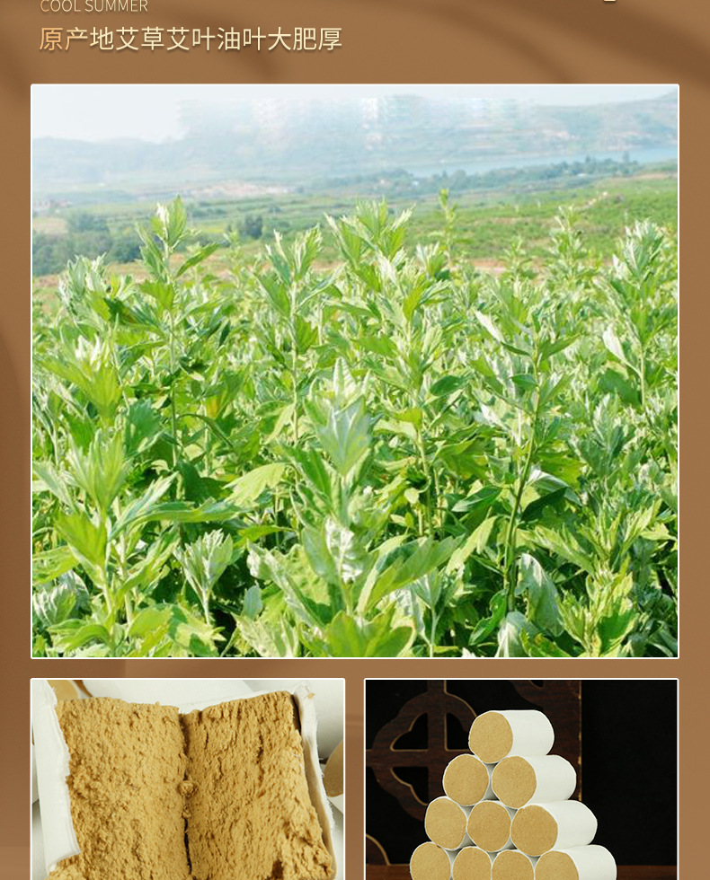 Moxa Cones Ai Zhu 艾柱 54 Pcs Aged Moxa Wool for Moxibustion Box and Device Use 100g key features
