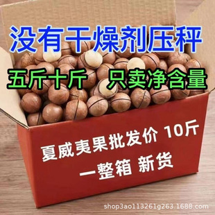 �����Ĺ�10���������lһ����Թ�����ζɢ�b��ʳ�W�t���]2024��؛