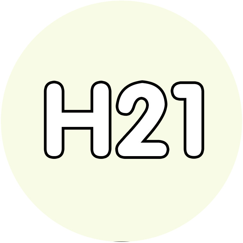 [10g auto-selección de paquete suplementario de galletas de frijol 221 color verde de alta calidad fusión frijol diy hecho a mano